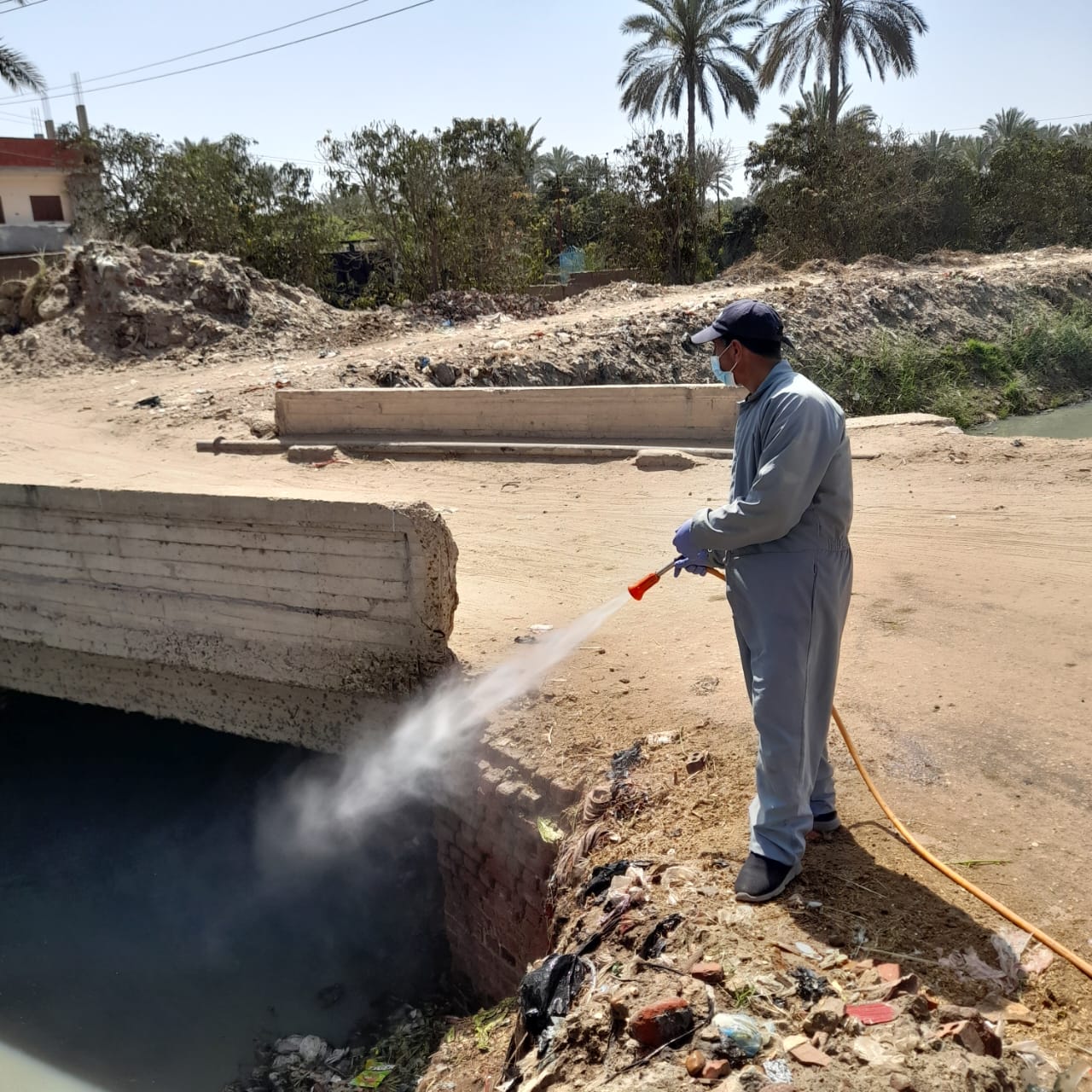 مكافحة ناقلات الأمراض بالشرقية 05