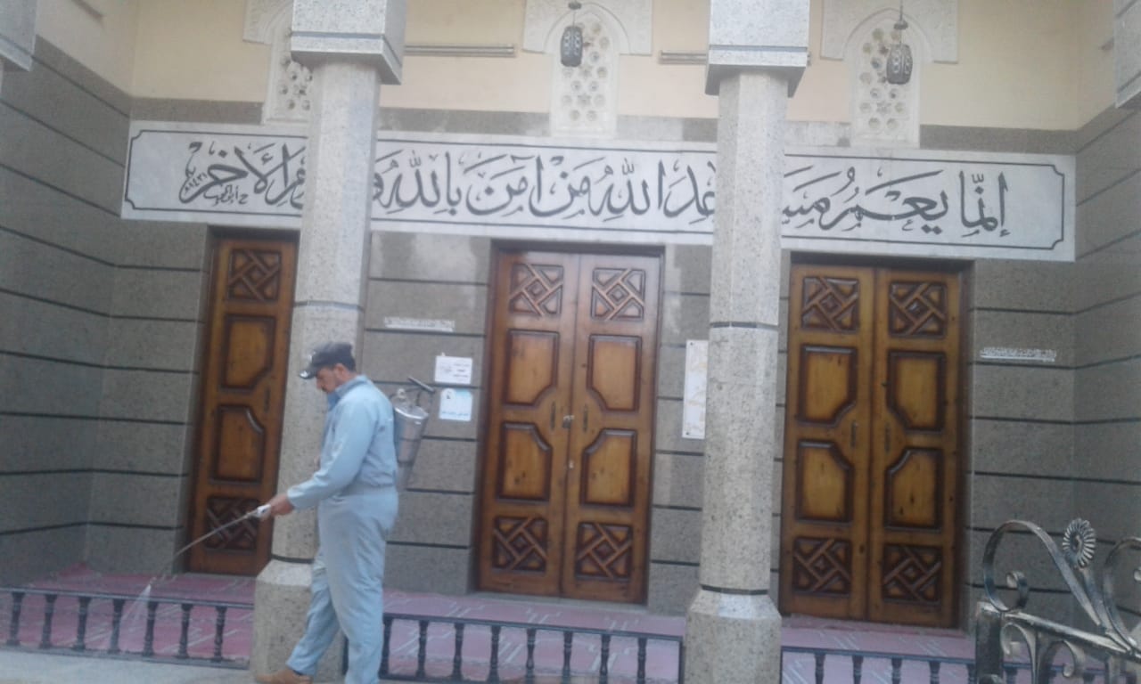 مكافحة ناقلات الأمراض بالشرقية 06