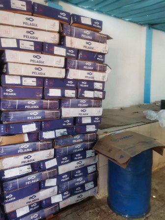 المضبوطات 01