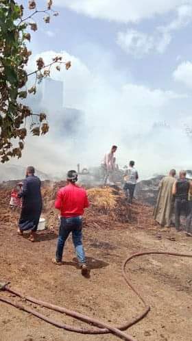 FB_IMG_1683389861321