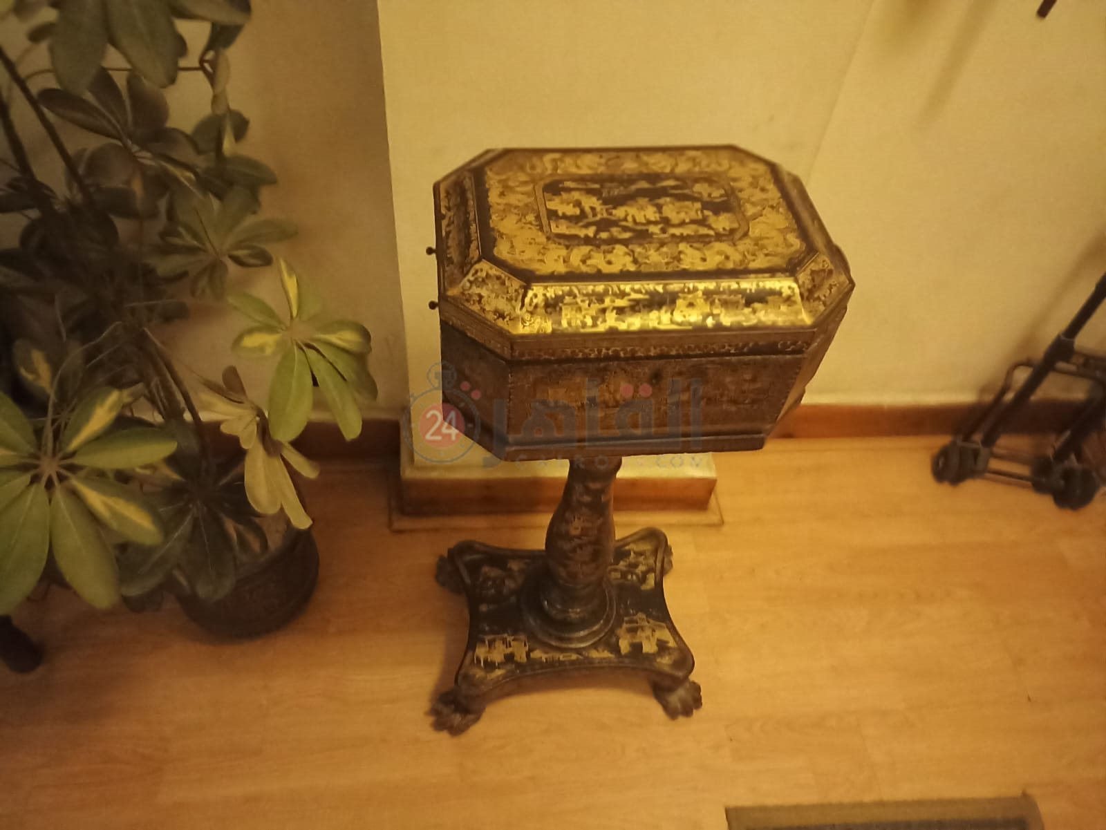 WhatsApp Image 2023-05-27 at 12.16.12 PM