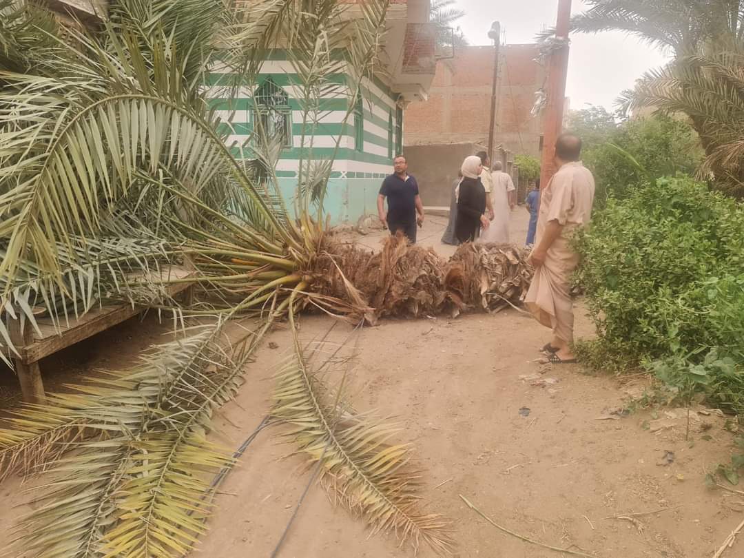 FB_IMG_1685216516352