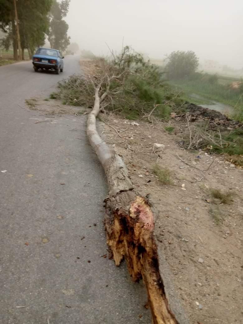 FB_IMG_1685216514163