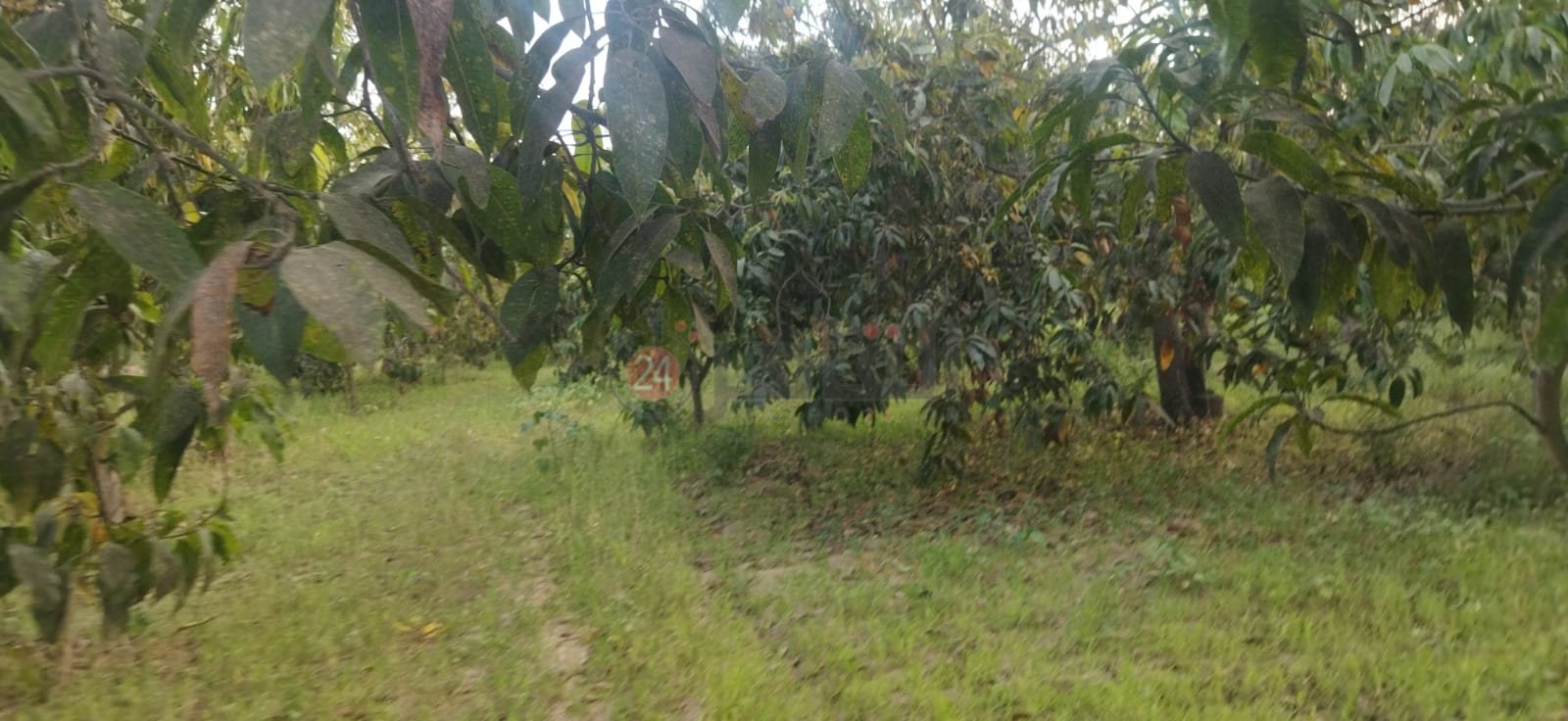 7dc05a89-9cdc-4887-98db-2ca63d437625