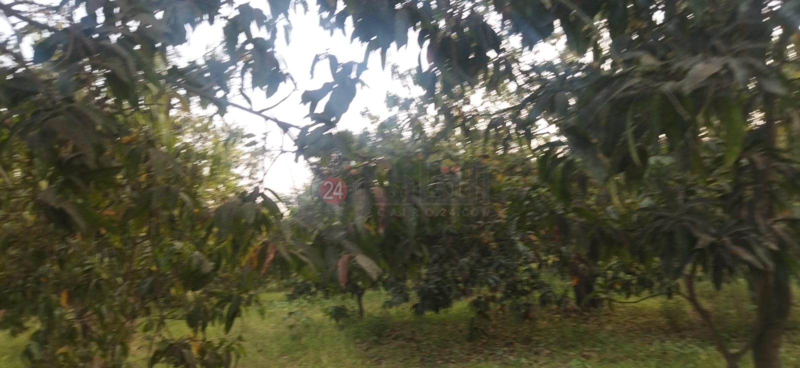 906145bd-7ef2-4b75-9926-e045e4e084ed