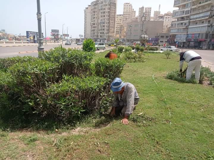 FB_IMG_1685913609317