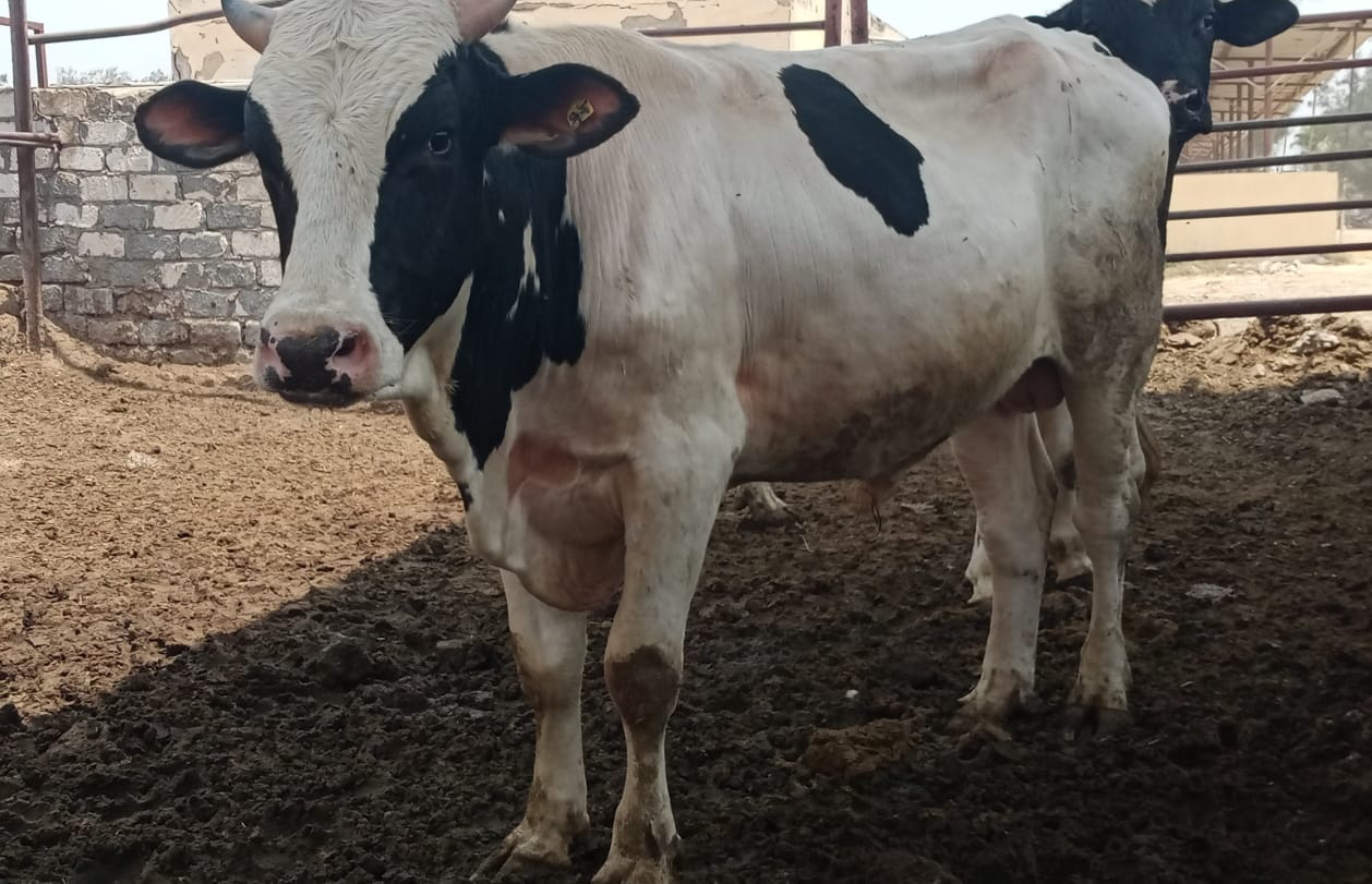 f721266a-100c-4552-bb76-69bfc4061b28