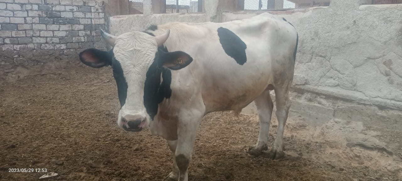 73df2dcf-bf70-49ff-81f1-5b69cf6c7131