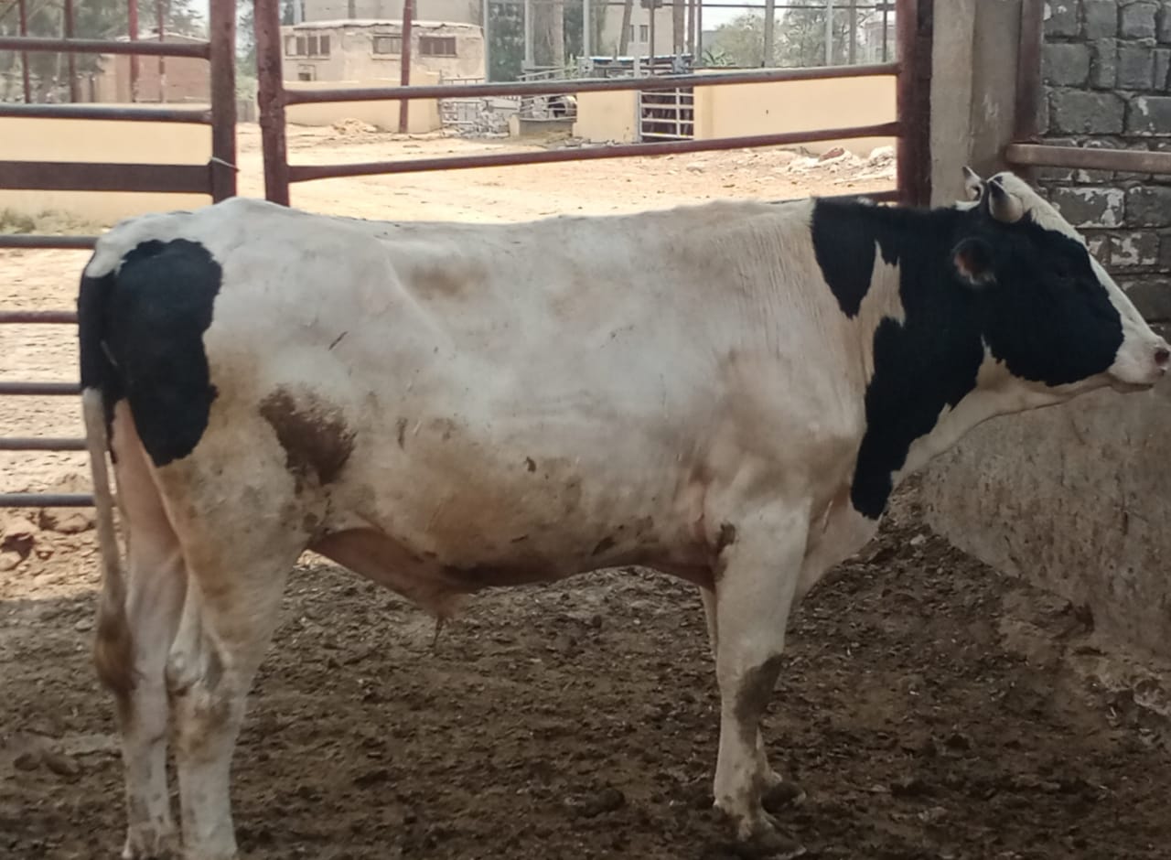 c2612c8a-46f3-42ec-948a-361fe4026ae0