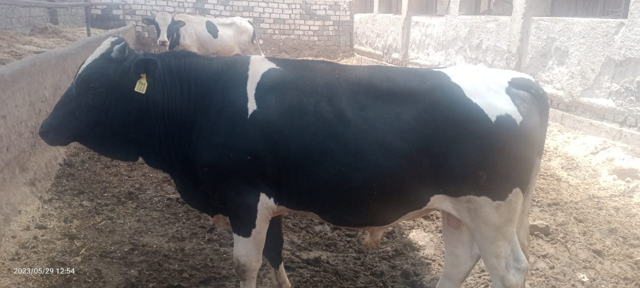 119ba14f-3bcb-41d0-a13e-ec752e8dc430