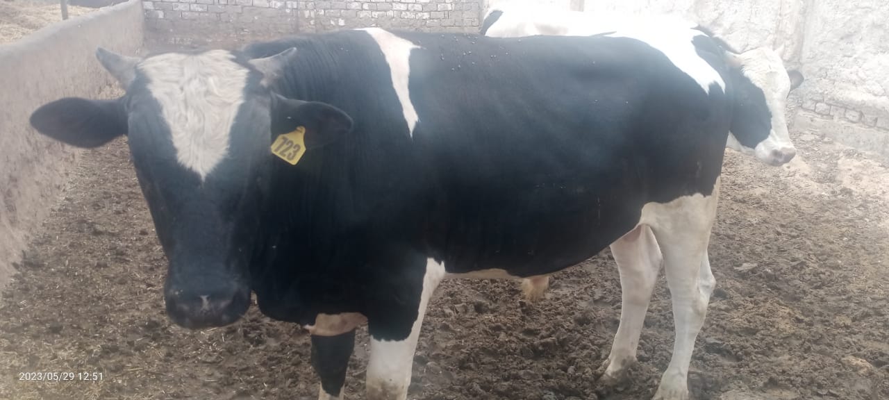 e00349d2-86d3-4c55-9bcf-98539496285b