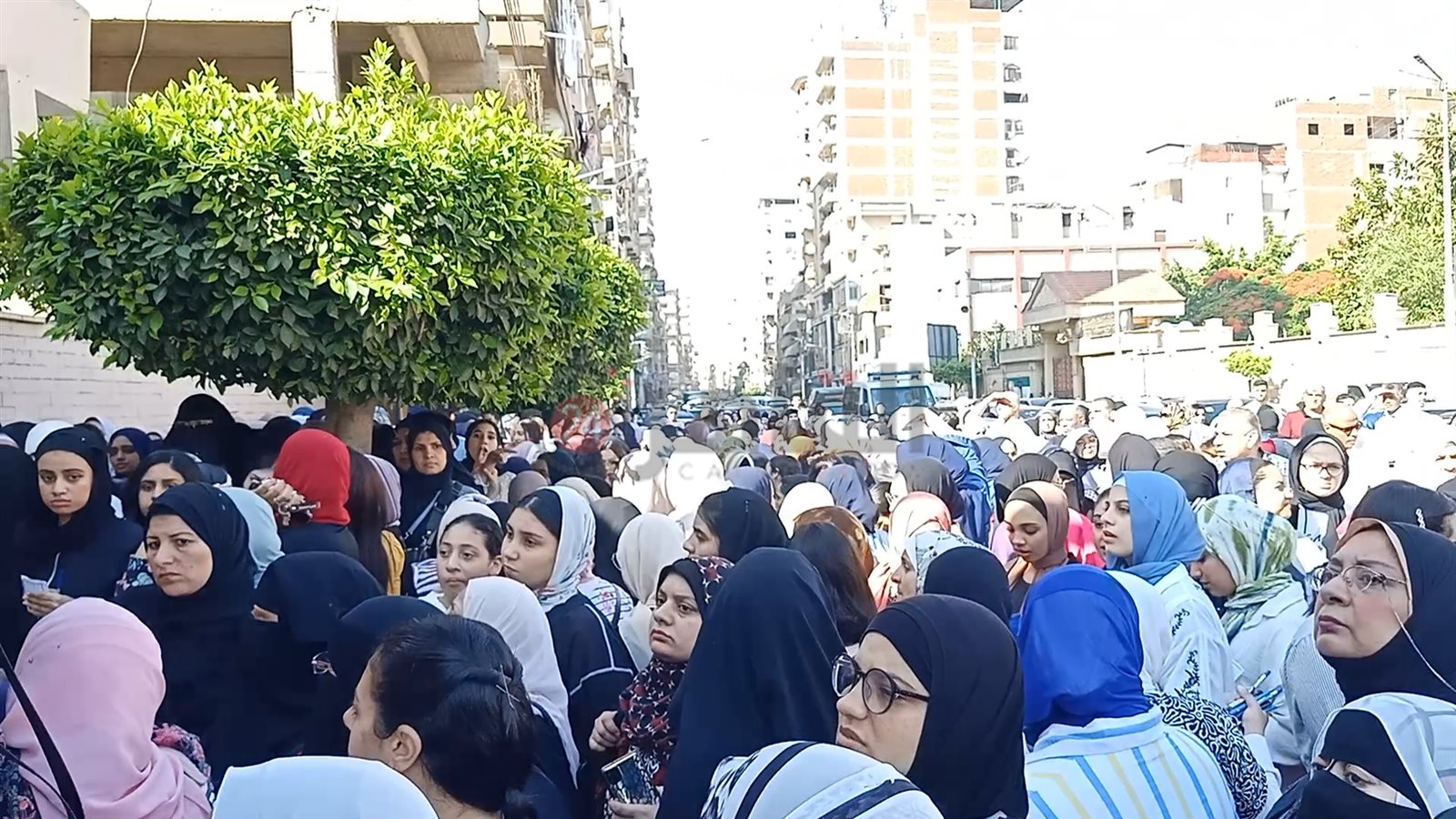 توافد الطلاب على اللجان 