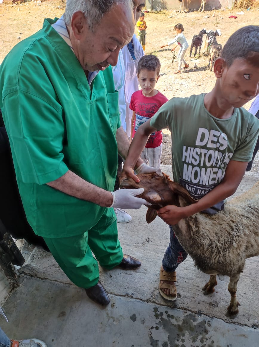 قافلة بيطرية بشرق الإسكندرية 