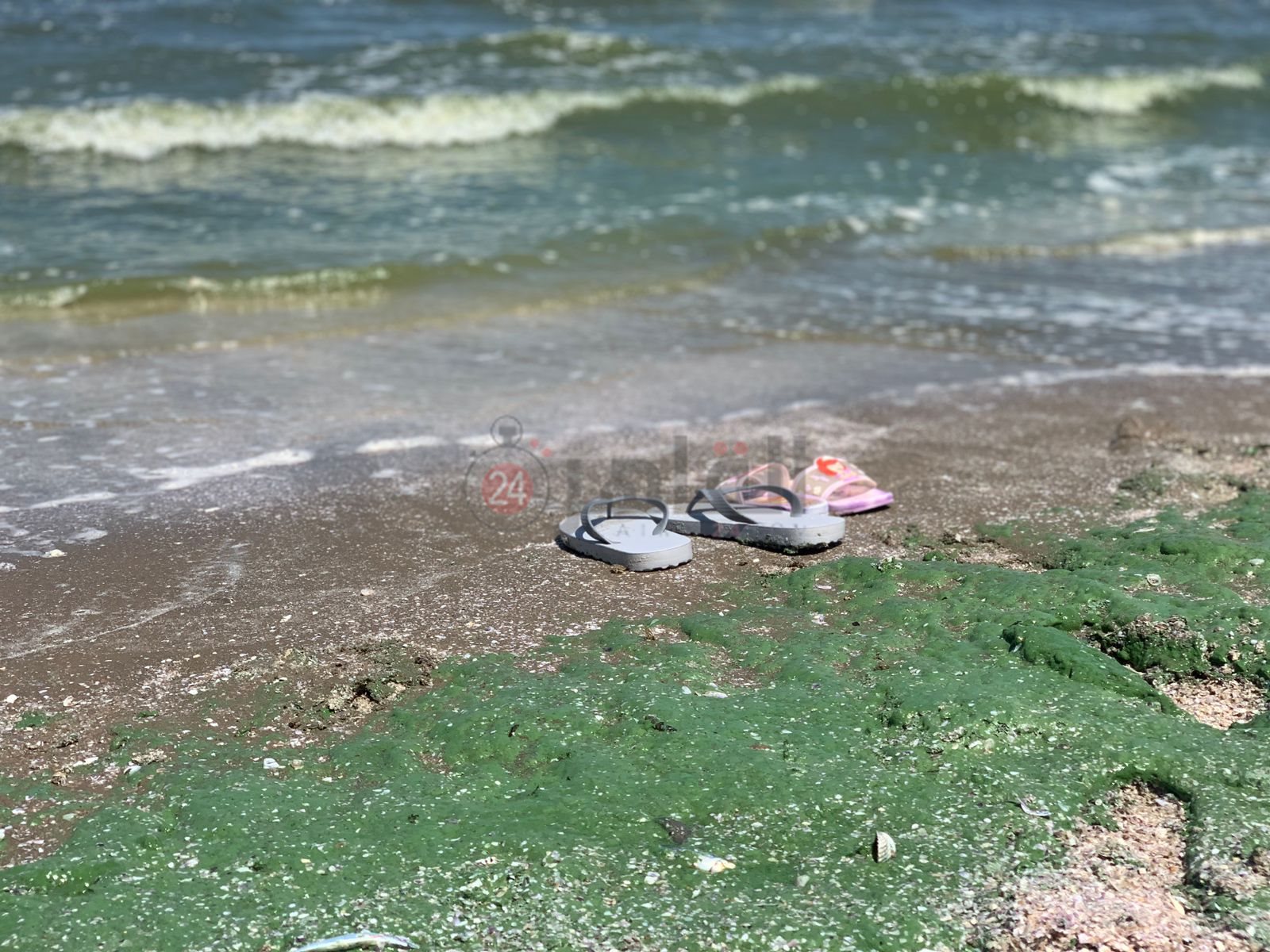 ريم أخضر علي شاطئ بورسعيد 1