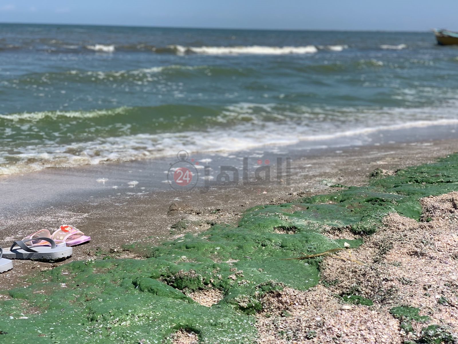 ريم أخضر علي شاطئ بورسعيد 4