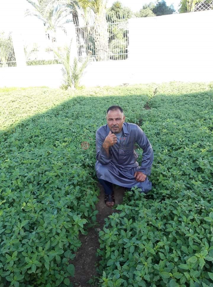 أحد الضحايا