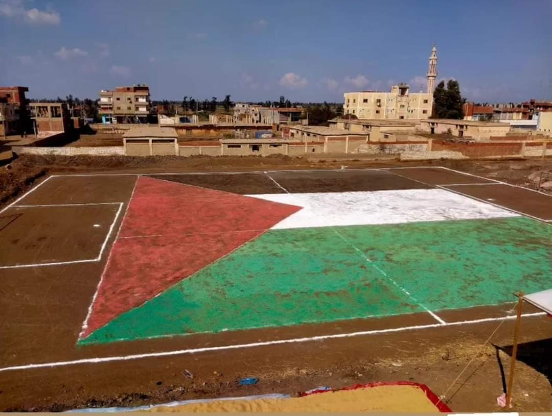 علم فلسطين في أرضية ملعب المباراة 01