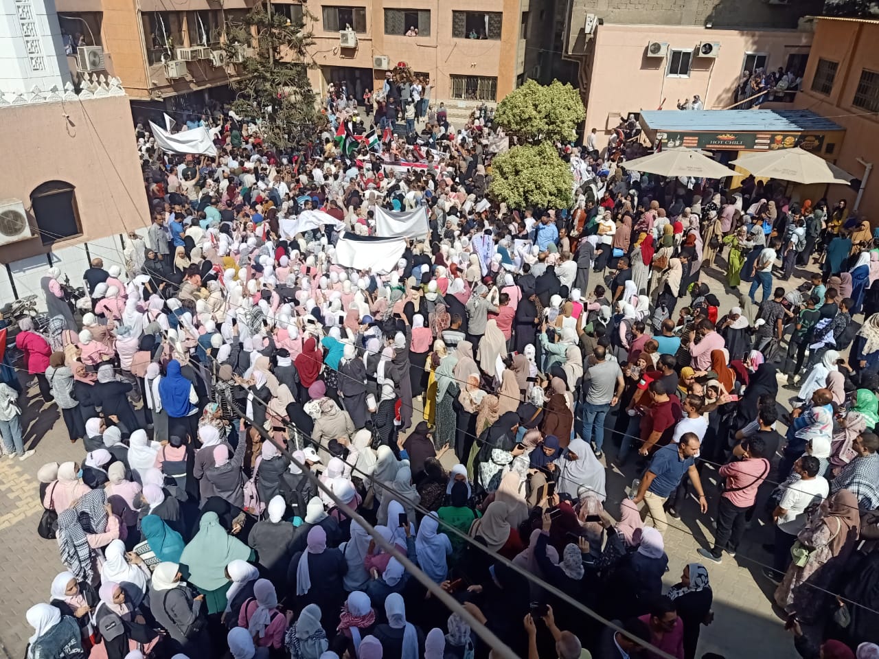 حشود داخل مديرية الصحة بالشرقية لدعم فلسطين 02