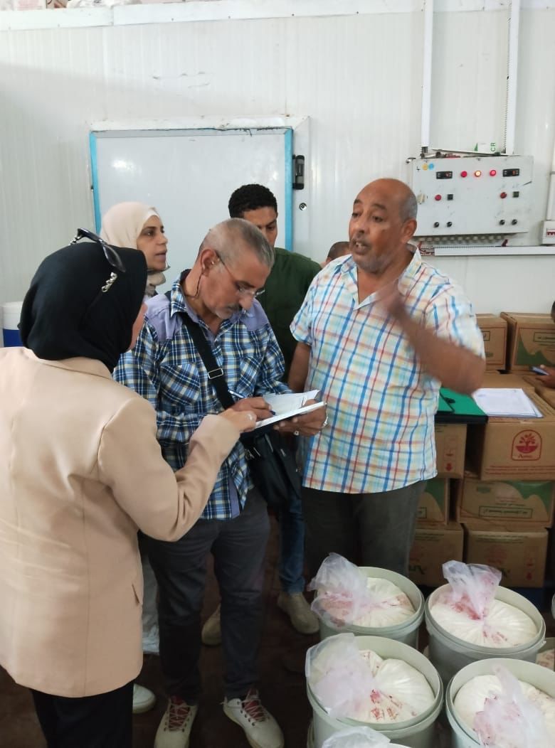 حملات على المنشآت فى محافظة الإسكندرية