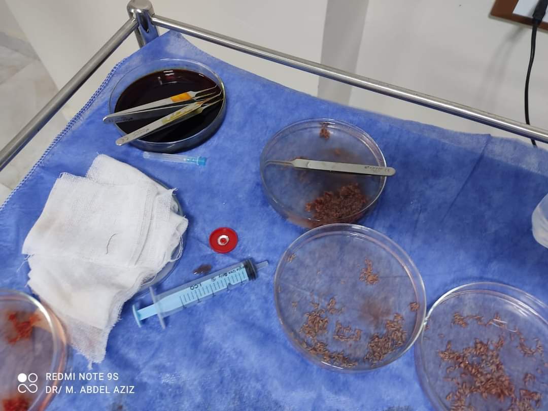 FB_IMG_1698319460767