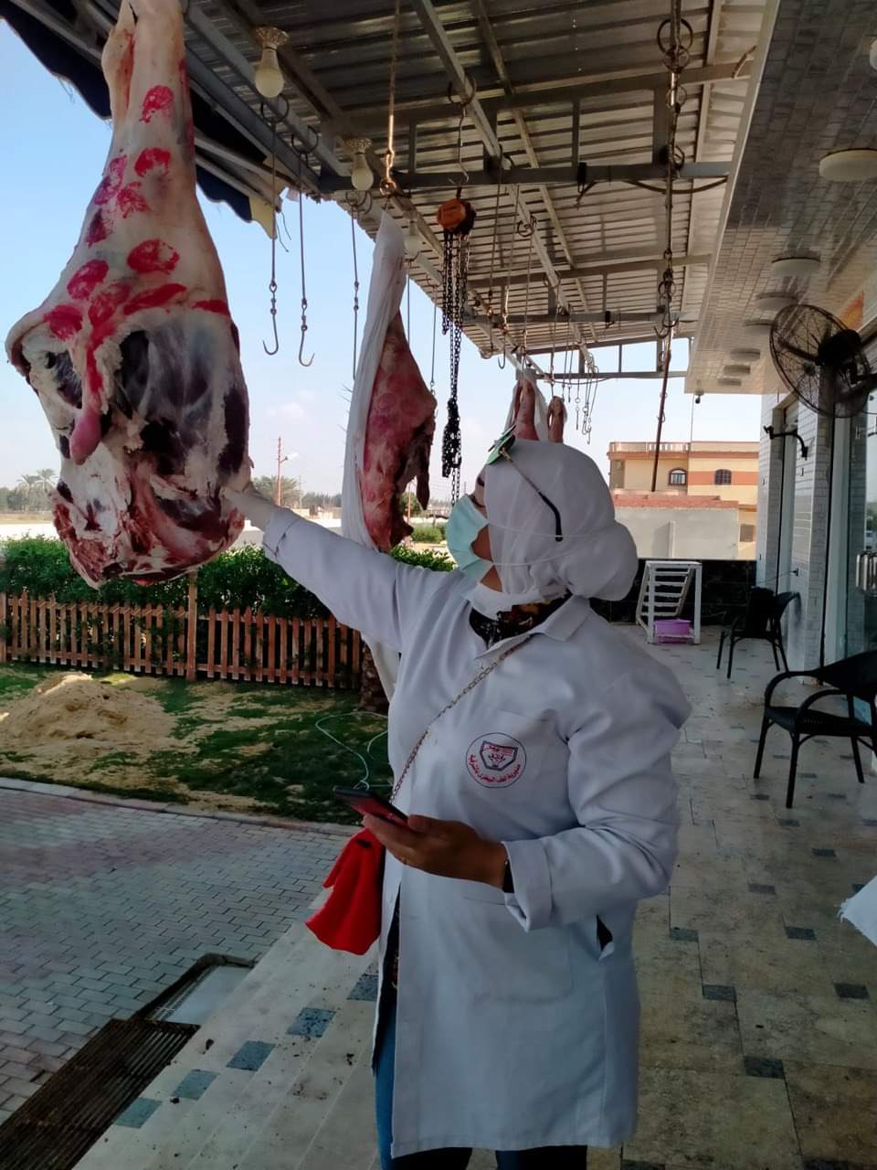 جانب من حملات الطب البيطري 5