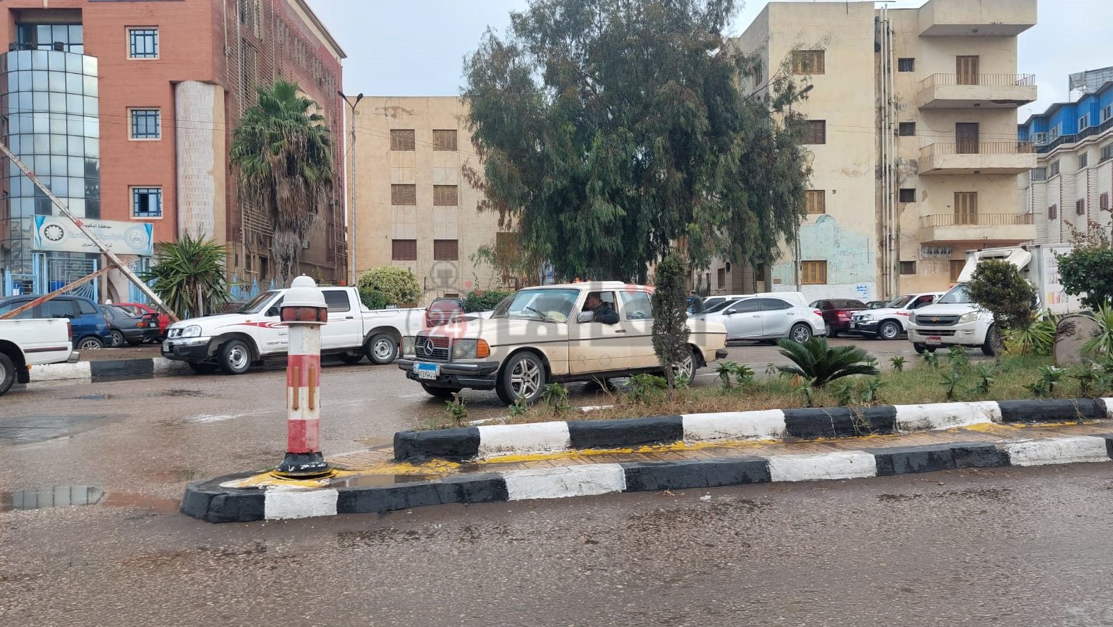 حالة الطقس في الدقهلية