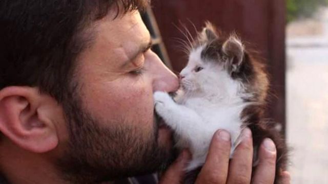 تفسير رؤية قتل القطة في المنام