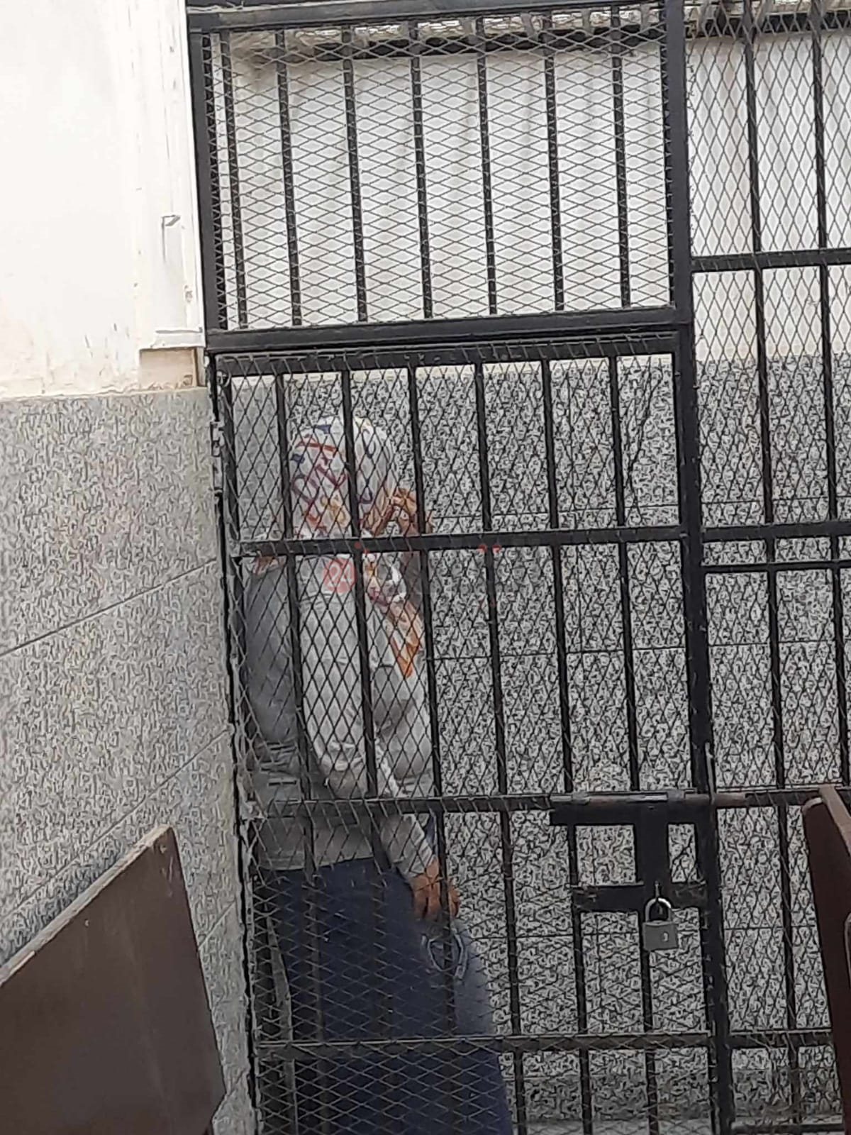 المتهمة بالاتجار بالبشر في الفيوم