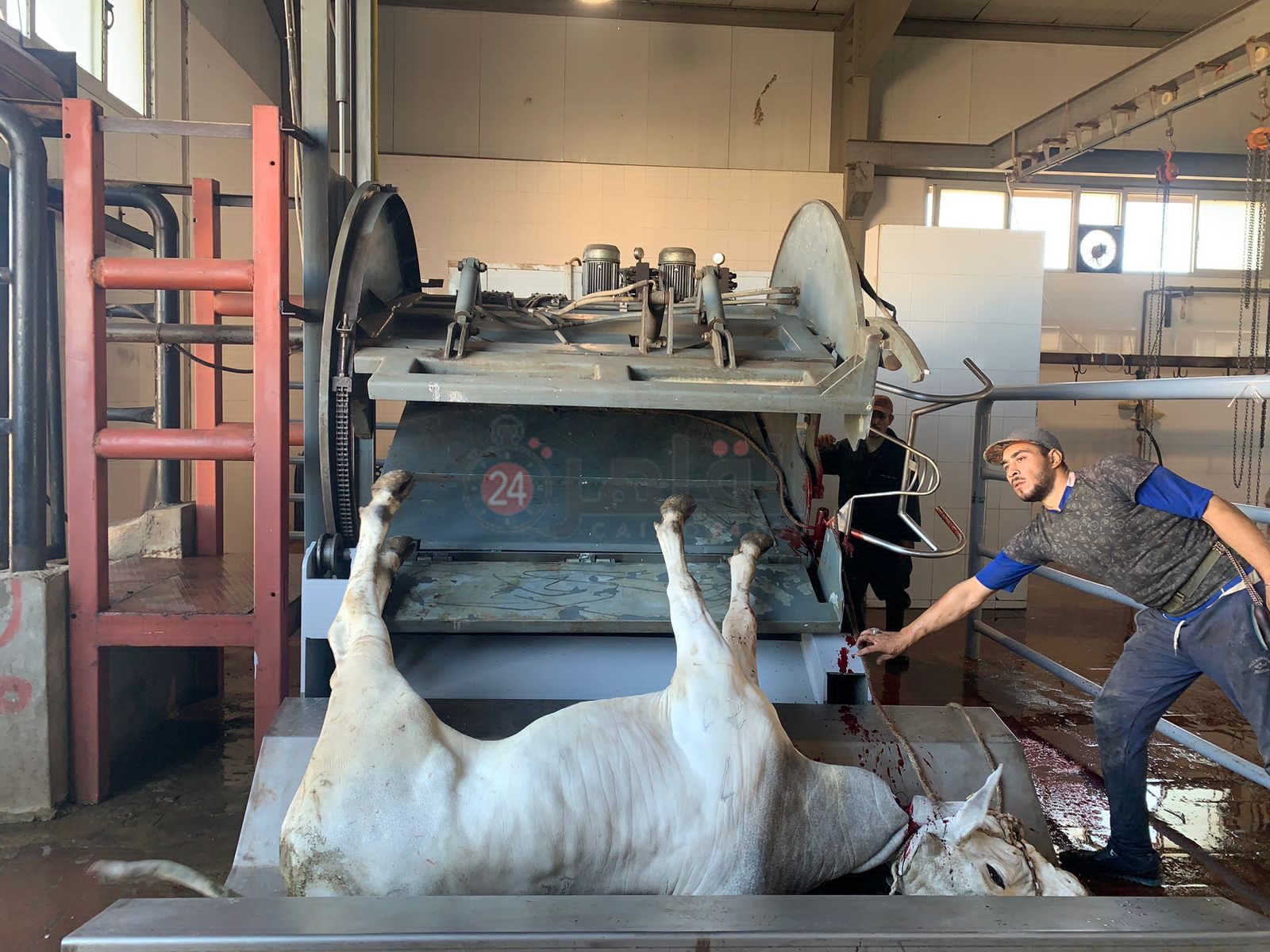 زيارة وزير التنمية المحلية لجنوب بورسعيد 