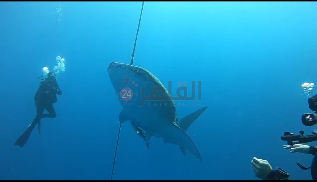 IMG_٢٠٢٤٠١١٥_٠٨٤٧٠٥