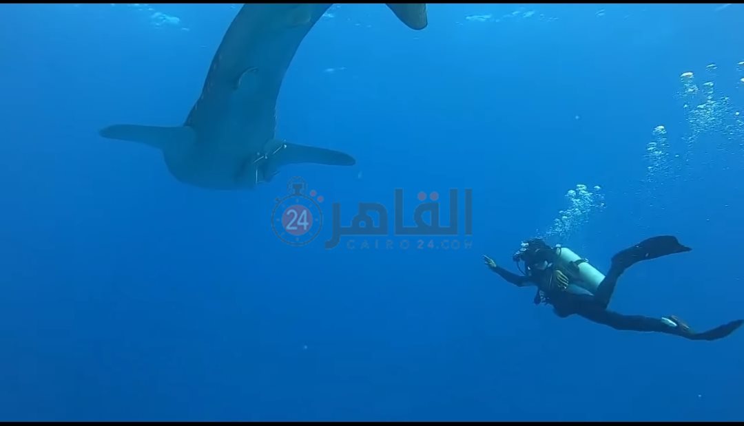 IMG_٢٠٢٤٠١١٥_٠٨٤٦١٤