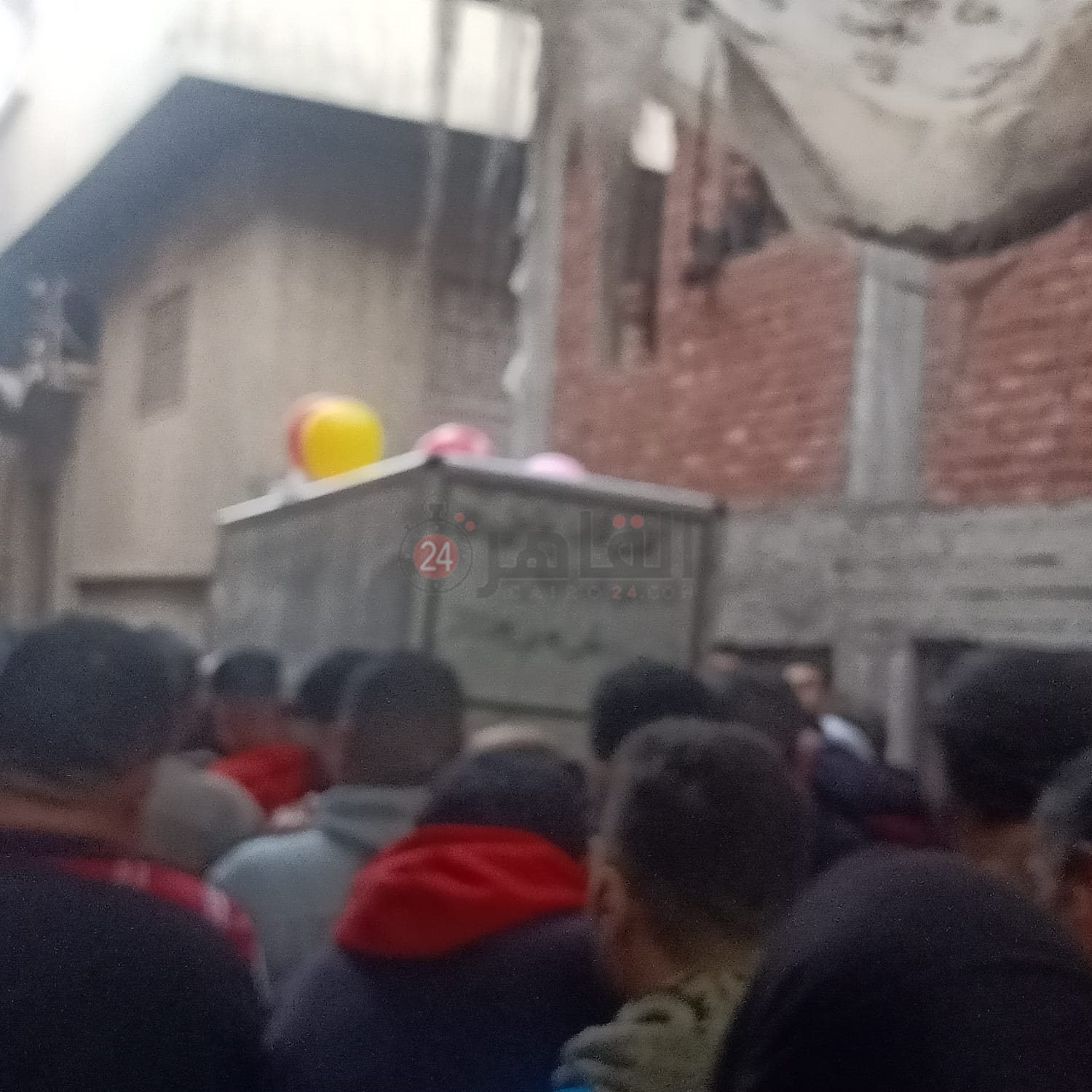 WhatsApp Image 2024-01-19 at 7.53.06 AM