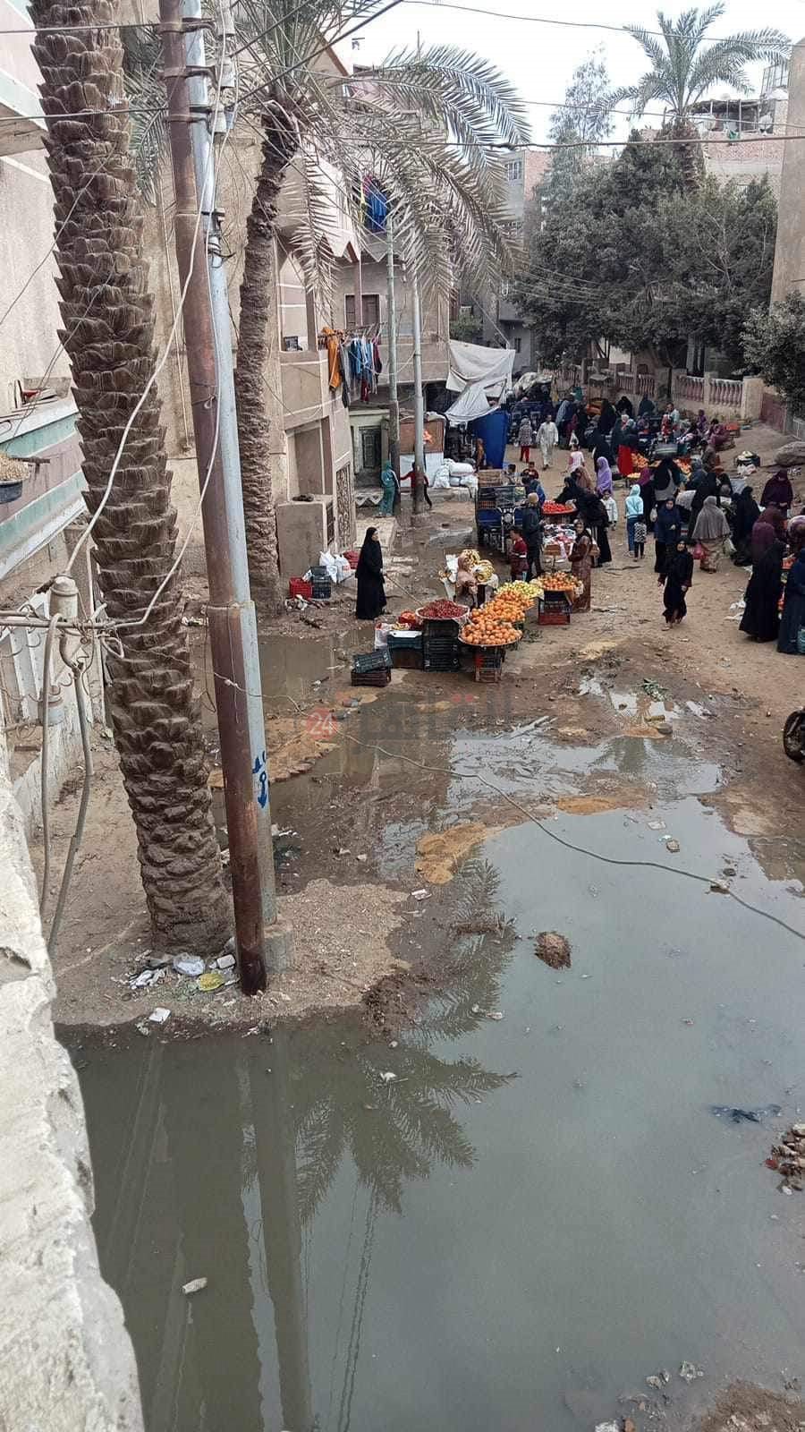 FB_IMG_1706435979012