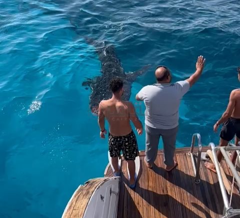 IMG_٢٠٢٤٠٢٠٧_١٢١٢٠٠