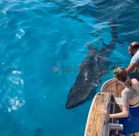 IMG_٢٠٢٤٠٢٠٧_١٢١١٣٧