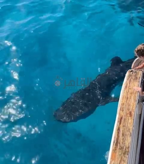 IMG_٢٠٢٤٠٢٠٧_١٢١١١٨