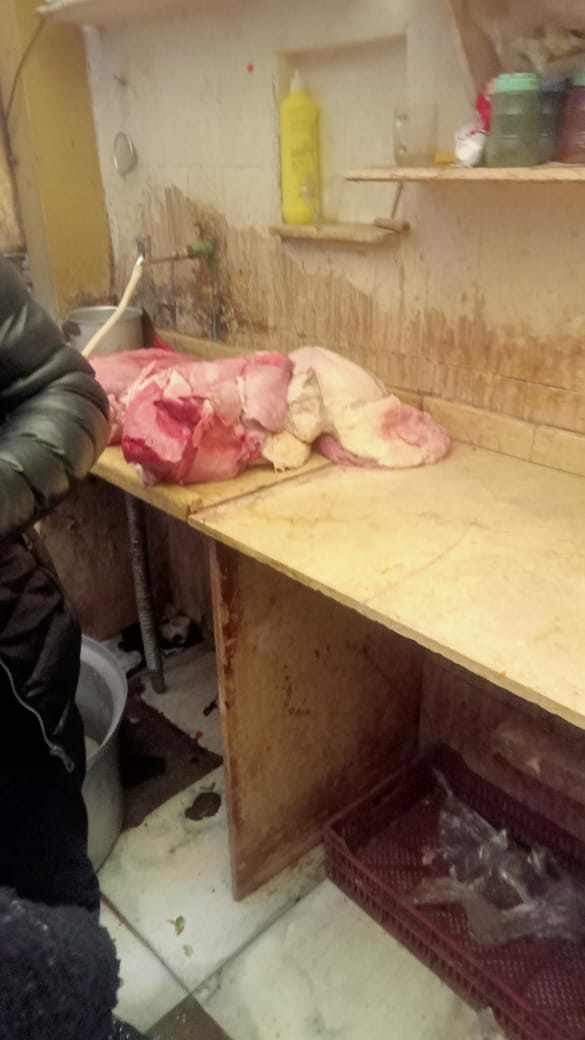 ضبط أحشاء غير صالحة للاستهلاك الأدمي ببورسعيد 