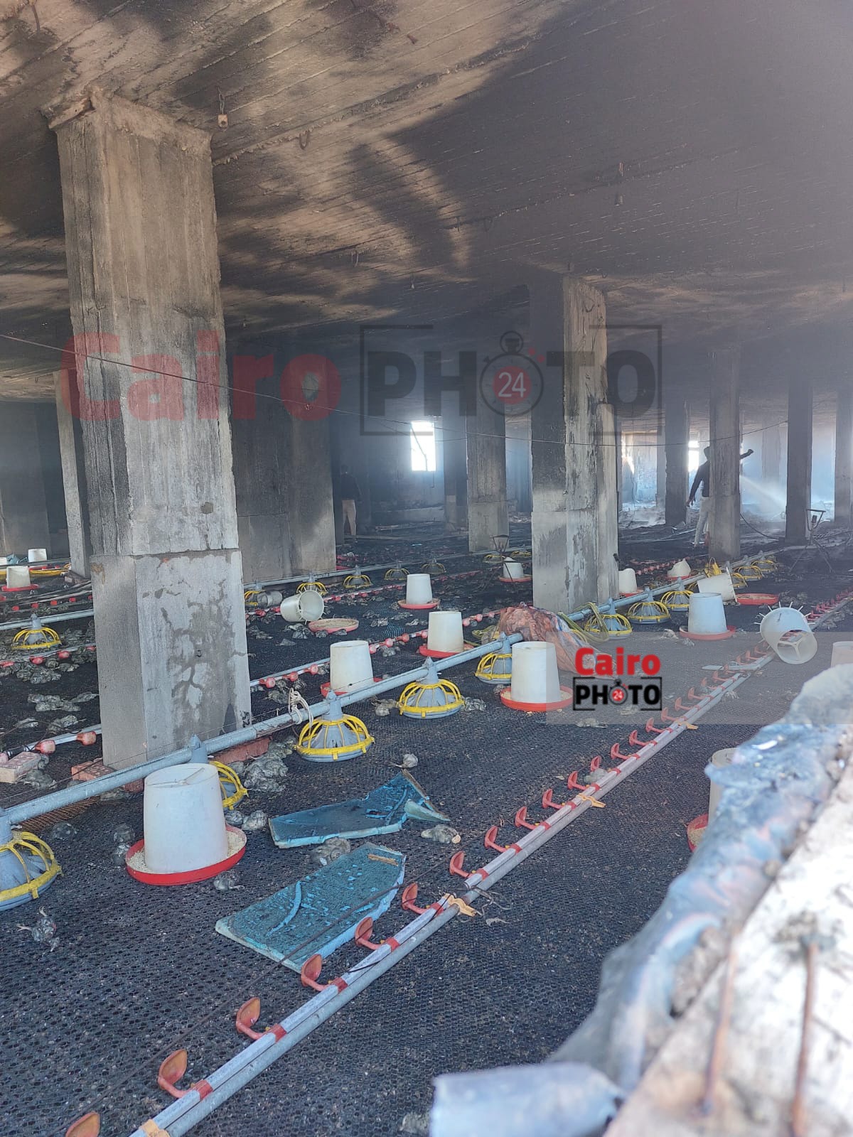 حريق مزرعة دواجن بكفر الشيخ 