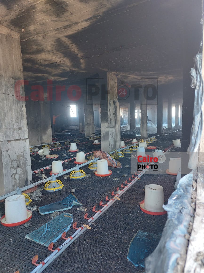 حريق مزرعة دواجن بكفر الشيخ 