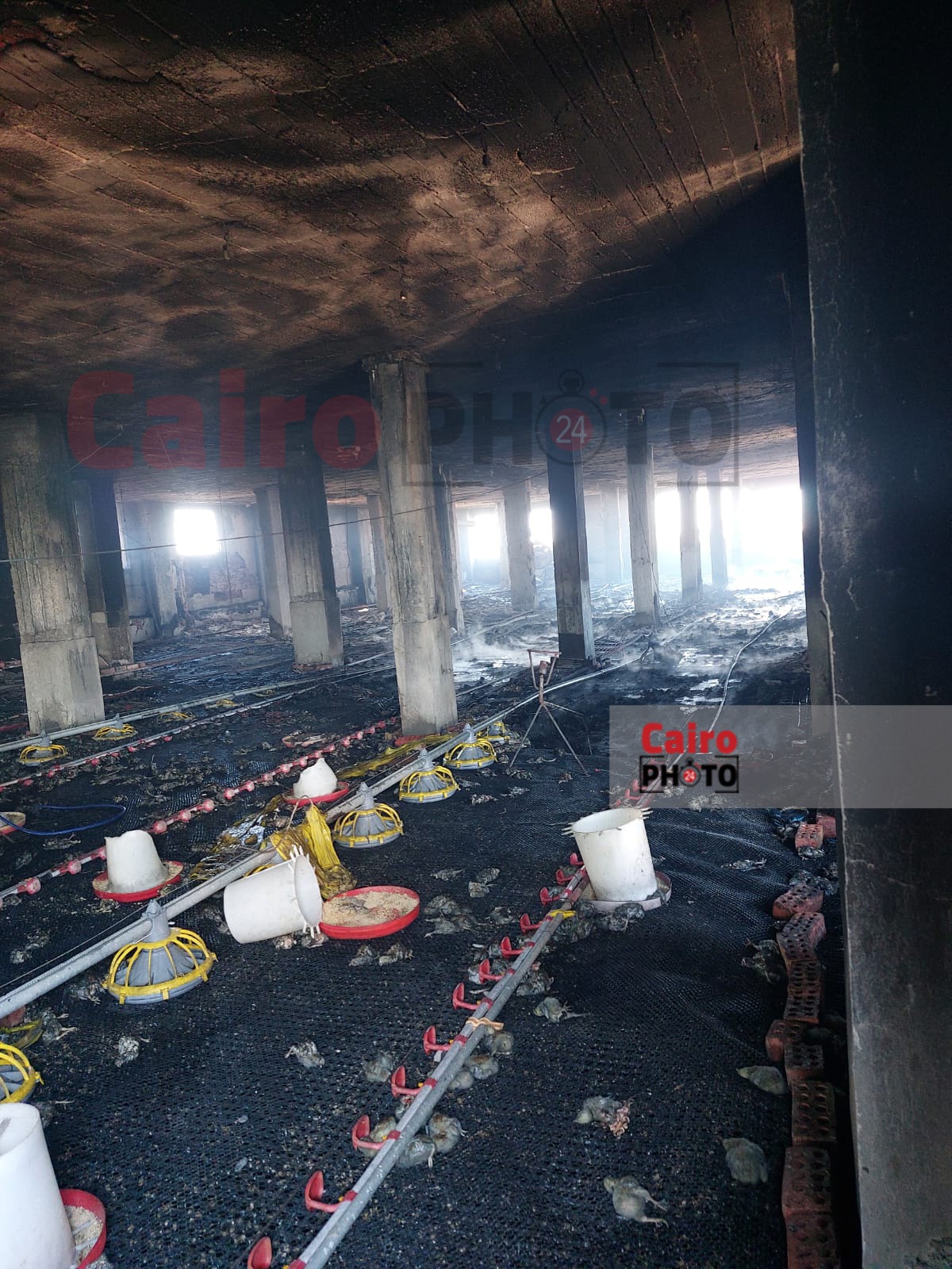 حريق مزرعة دواجن بكفر الشيخ 