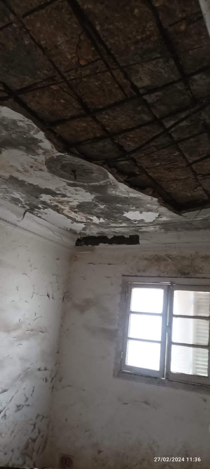 FB_IMG_1709110837522