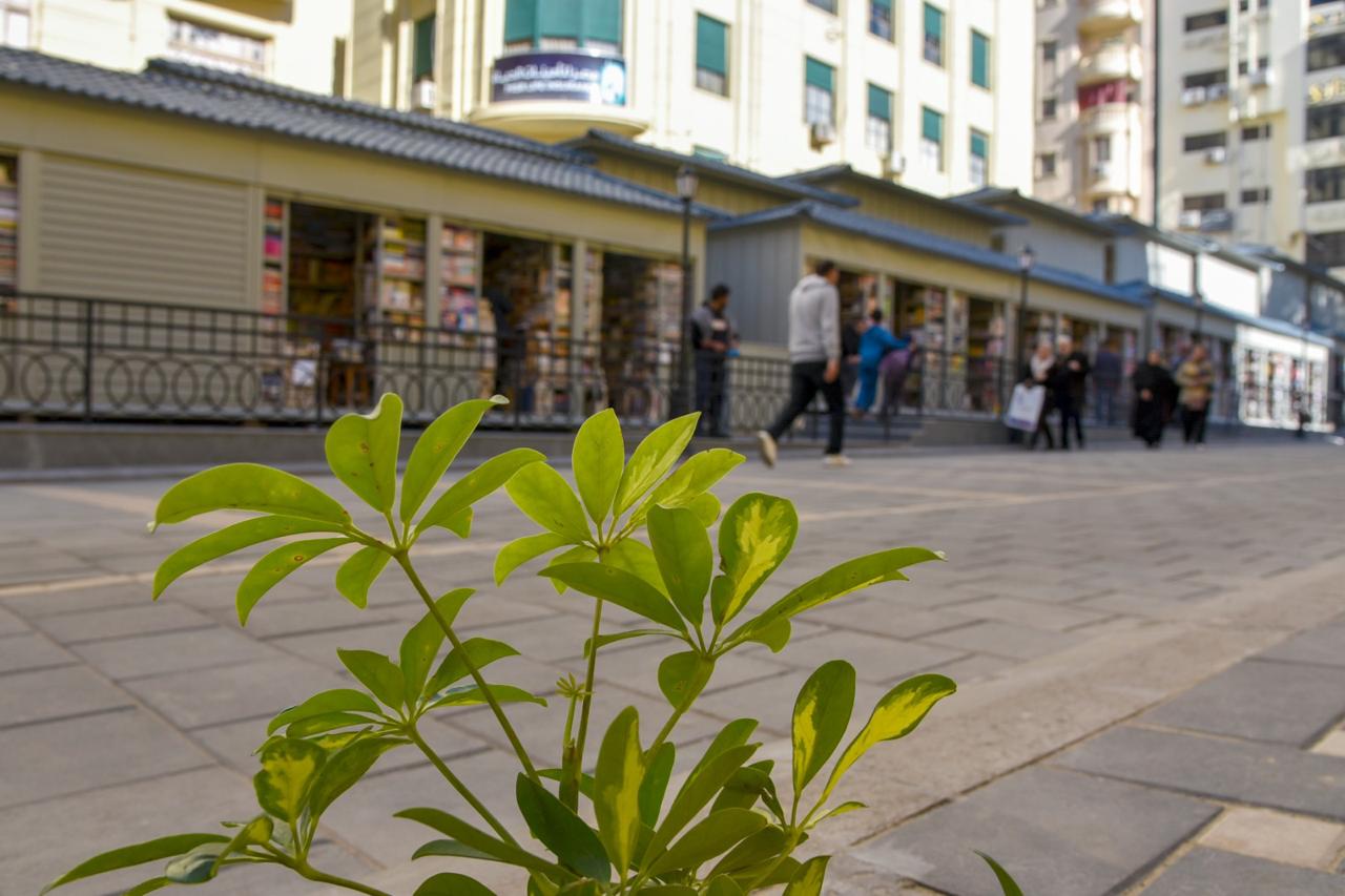 محافظ الإسكندرية يتابع معدلات تنفيذ مشروع شارع النبي دانيال 