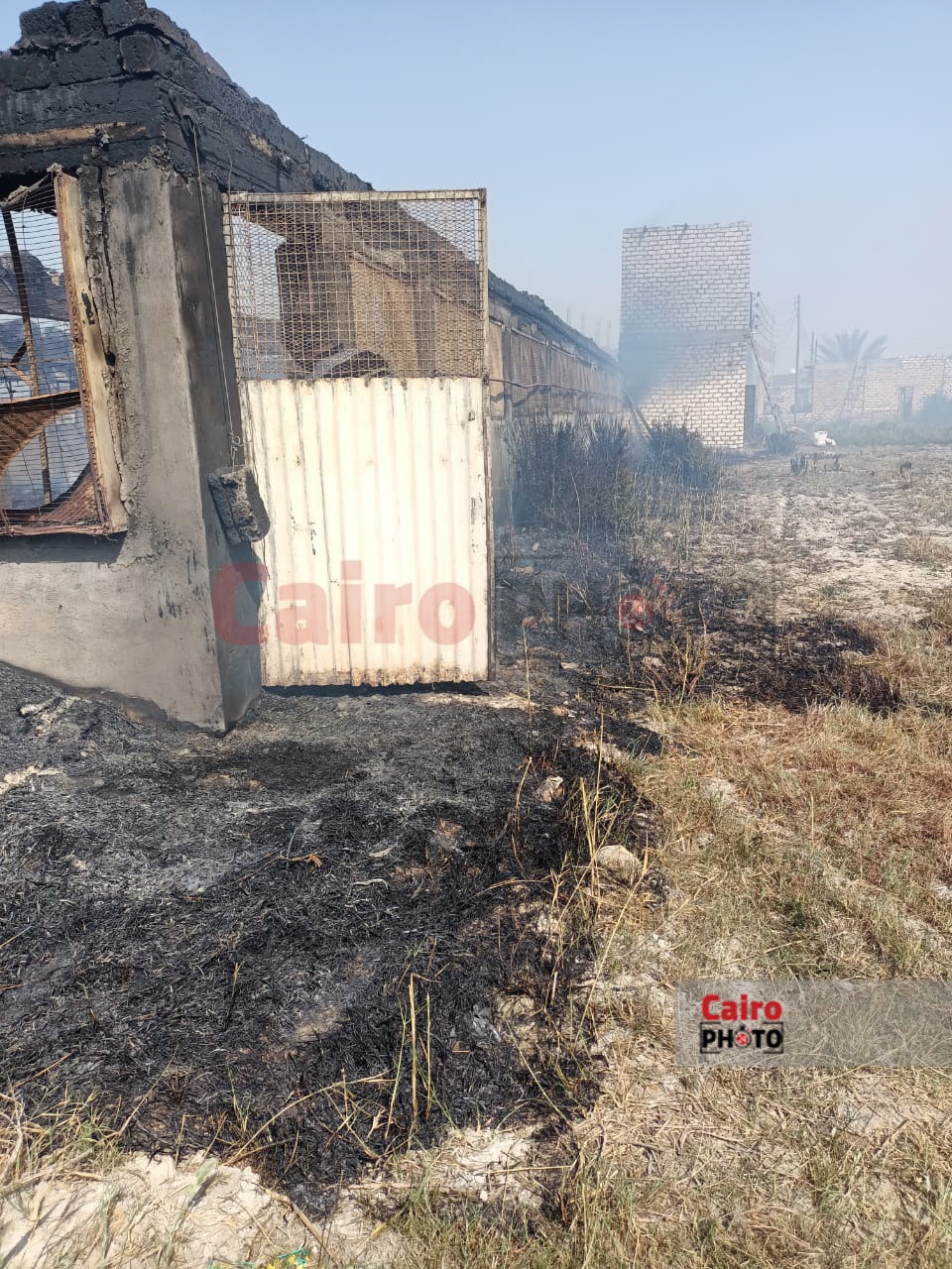 حريق مزرعة دواجن بالإسماعيلية 