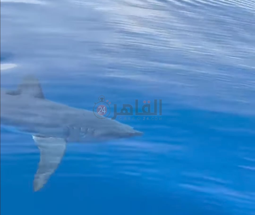 IMG_٢٠٢٤٠٣٣٠_٢٢٣٩٣٥