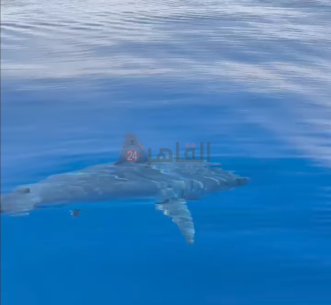 IMG_٢٠٢٤٠٣٣٠_٢٢٣٩٢٢