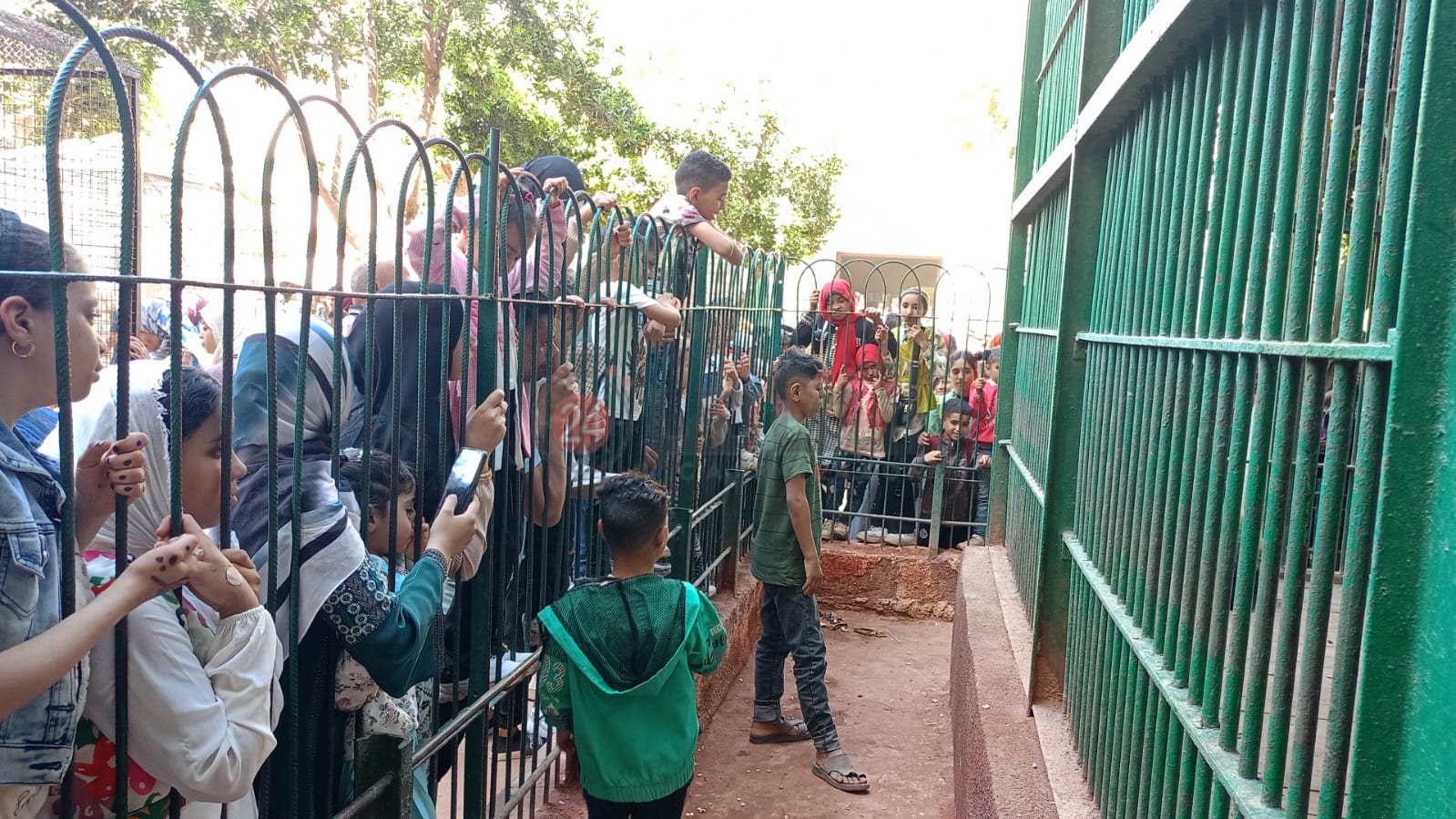 بعض زوار حديقه الحيوان في الفيوم 