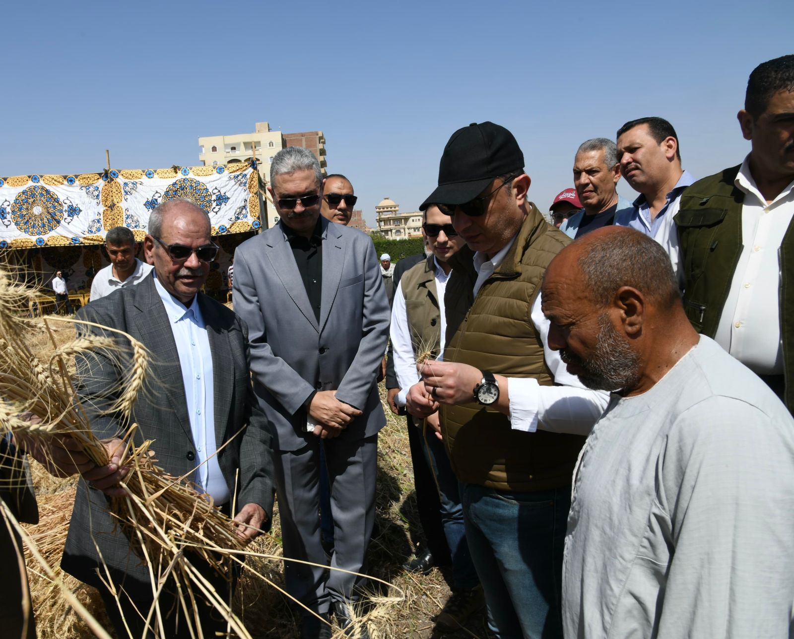 محافظ الفيوم يفتتح موسم حصاد القمح