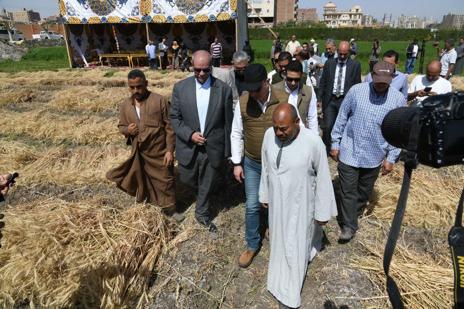 محافظ الفيوم يفتتح موسم حصاد القمح