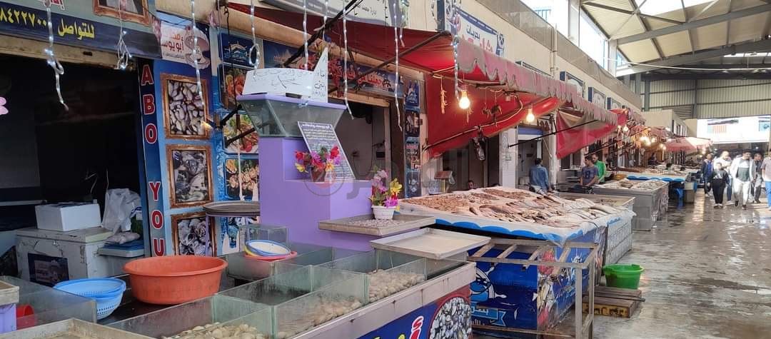 سوق الأسماك ببورسعيد