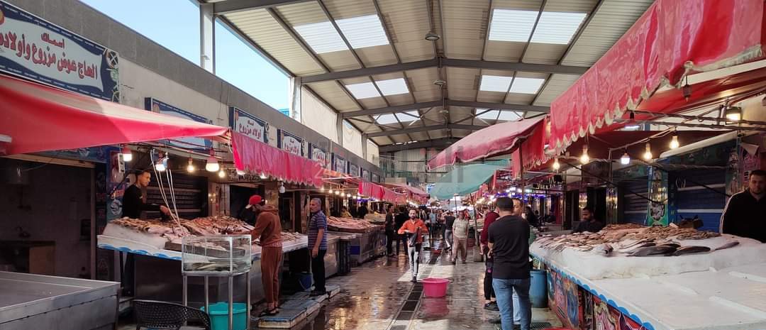 سوق الأسماك ببورسعيد